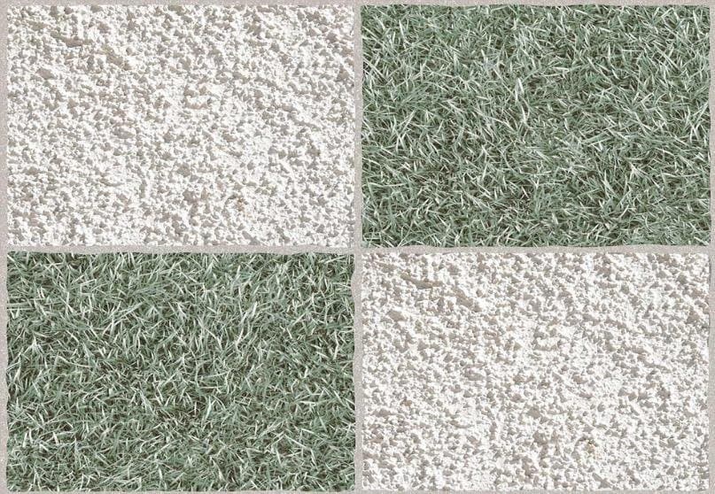 Limestone Grass